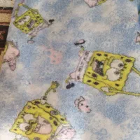 موکت اتاق کودک|موکت|فولادشهر, مسکن مهر فولادشهر|دیوار