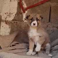 طول سرابی درجه ۱