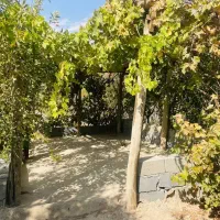 باغ-مجوز-دار-با-دسترسی-عالی