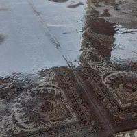 قالیشوی ملایری در پاکدشت و شریف اباد|خدمات نظافت|پاکدشت, پاکدشت (مامازند)|دیوار