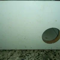 عروس هلندی جفت به شرط جوجه|پرنده|نجف‌آباد, ویلاشهر|دیوار