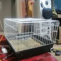 قفس