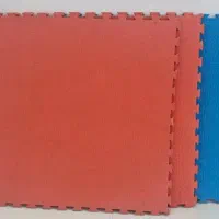 تاتمی ورزشی