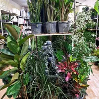 گلسرای مریم بانو بار جدید رسید