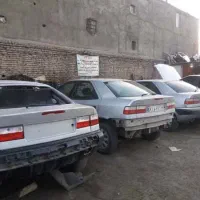 اسقاط و جمع آوری زانتیا فرسوده اوراقی تصادفی سوخته