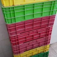 جعبه ماهی مرغ نو