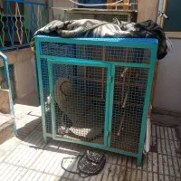 قفس کفتر