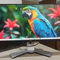 ال ای دی مانیتور ۲۵ اینچ 2k