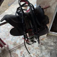 زین چرم|اسب و تجهیزات اسبسواری|رشت, کاکتوس|دیوار