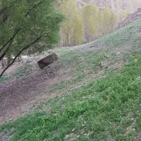 زمین باغ ویلا کنار رودخونه گلمکان جاده چشمه سبز|فروش زمین و ملک کلنگی|مشهد, شهید مطهری|دیوار