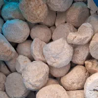 کشک وعسل سبلان|خوردنی و آشامیدنی|تهران, شهرک شهید باقری|دیوار