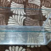 آکواریوم با گیاه