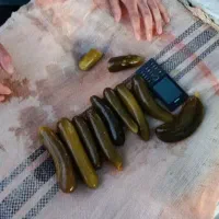 فروش انواع  خیار شور و ترشی جات تحویل در محل|عمده‌فروشی|لالجین, |دیوار