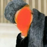 شال کلاه اصلا استفاده نشده نو ۲۳۰|لباس|فردیس, شهرک هفده شهریور|دیوار