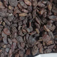 کشمش آفتابی شهرضا تازه امسالی