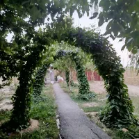 خانه اجاره ایی