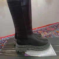 پوتین