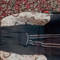 کریر ،نی نی خواب