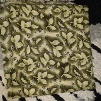 پارچه|لباس|سبزوار, پیام|دیوار