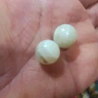 مهره سلیمانی