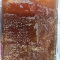 عسل مرغوب چهل‌گیاه