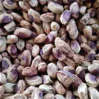 مغز کردن پسته|خوردنی و آشامیدنی|قم, آزادگان|دیوار