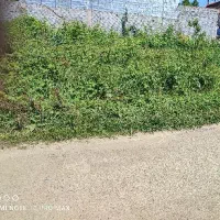 زمین-مسکونی-دوبر-کوهبنه