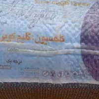 گلیم ۹متری|گلیم، جاجیم، گبه|کوهدشت, |دیوار