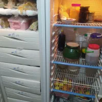 یخچال|یخچال و فریزر|رشت, نظری|دیوار