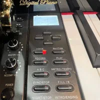 فروش عمده و تکی پیانو|پیانو، کیبورد، آکاردئون|صدرا-فارس, فاز ۱|دیوار