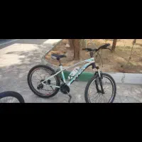 دوچرخه ویوا