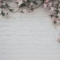 پیگیری