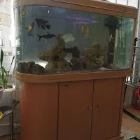 آکواریوم یو شکل (u) شیشه خم،کاملا سالم