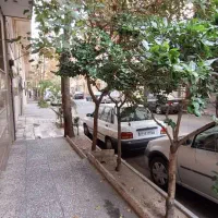 خانه-کلنگی197متری-در-تهرانپارس