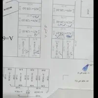 زمین پچیه رییس