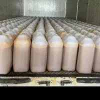 پخش سراسری عمده ارده خالص برازجان با کنجد ایرانی