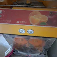 پرتقال وانار گیری بابک|آبمیوهگیر و آبمرکباتگیر|بناب, |دیوار