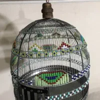 سهره قناری خا کی