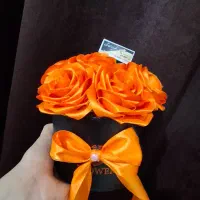 رز جاودان|گل مصنوعی|زابل, |دیوار