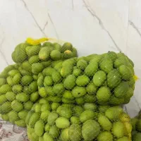 انبه قشم