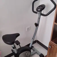 دوچرخه ثابت