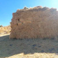 علف فروشی|لوازم جانبی حیوانات|فیروز, |دیوار