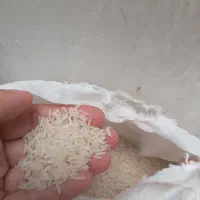 برنج خوشبخت ایرانی|خوردنی و آشامیدنی|قم, امامزاده ابراهیم|دیوار