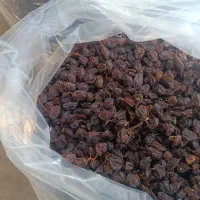 مویز|عمدهفروشی|نورآباد ممسنی, |دیوار