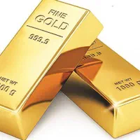 یک قطعه طلا پیدا شده است.