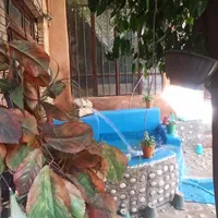 اتاق سنتی مرکز شهر جهت افراد شاغل و دانشجو|اجارهٔ خانه و ویلا|شیراز, بازار|دیوار