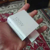 کلگی شیامی۱۲۰اورجینال