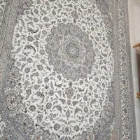 روفرشی ۱۲ متری