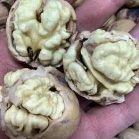 گردو پوست کاغذی تویسرکان ،بادام،مغز گردو،درجه ۱|خوردنی و آشامیدنی|شیراز, باغ تخت|دیوار
