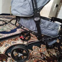 کالسکه دلیجان در حد نو